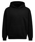 Anthem AM201 Anthem Heavy Bass Hoodie