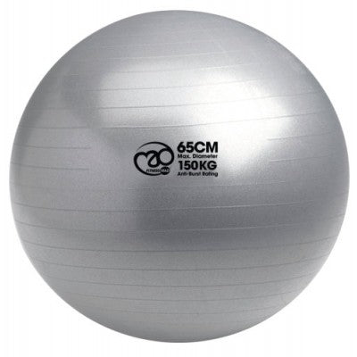 FITNESS MAD FMSW 150KG Swiss Ball and Pump - COOZO