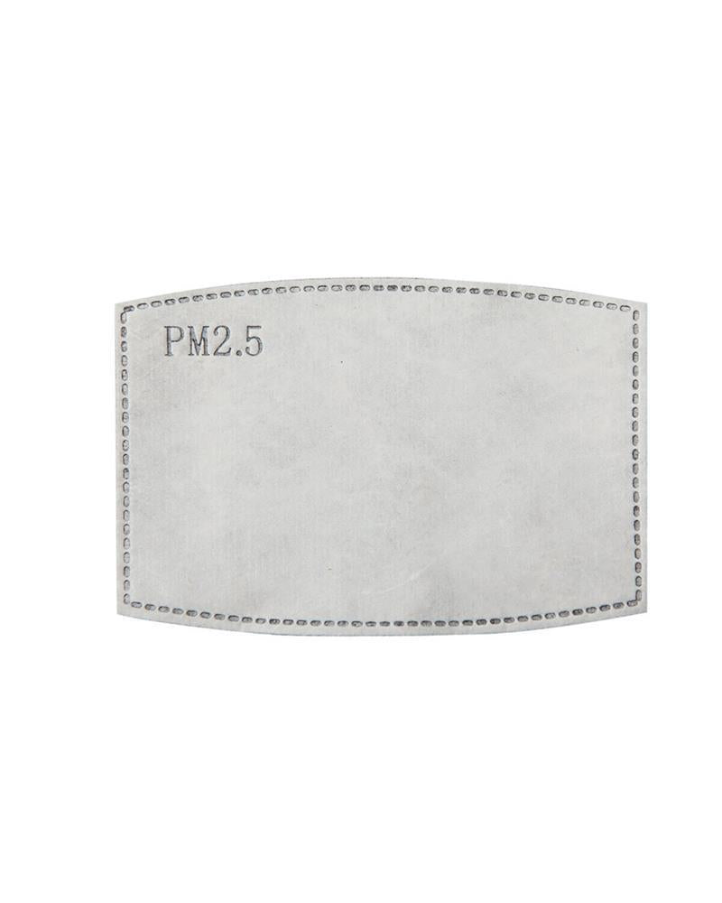 Premier PR797 Pm2.5 Activated Carbon Filter (Pack Of 10)