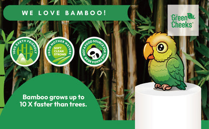 The Green Cheeks TGRNCKS Recycled Bamboo Toilet Paper