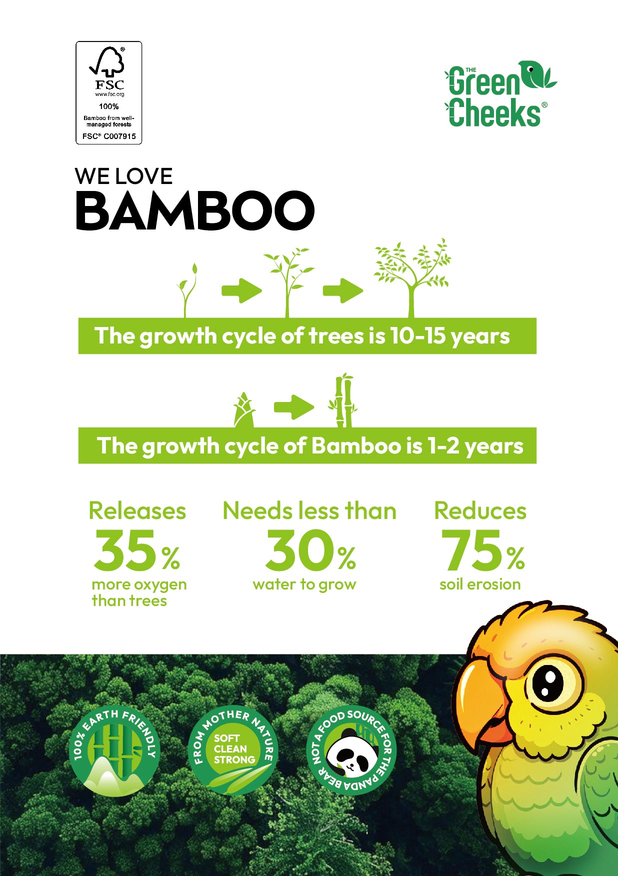 The Green Cheeks TGRNCKS Recycled Bamboo Toilet Paper