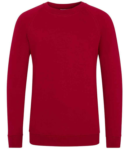 AWDis AC01J AWDis Academy Kids Raglan Sweatshirt - COOZO