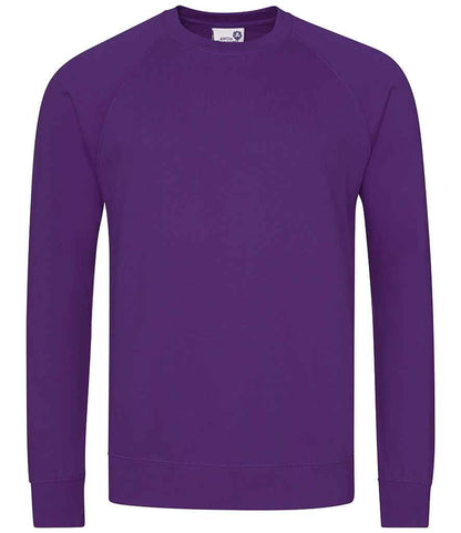 AWDis AC001 Academy Raglan Sweatshirt - COOZO