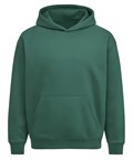 Anthem AM201 Anthem Heavy Bass Hoodie