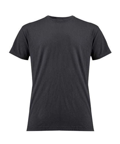 Comfort CO100 Heavyweight T-shirt Main Colour