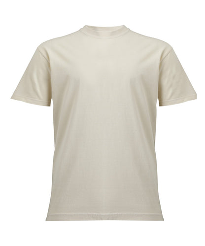 Comfort CO100 Heavyweight T-shirt Main Colour