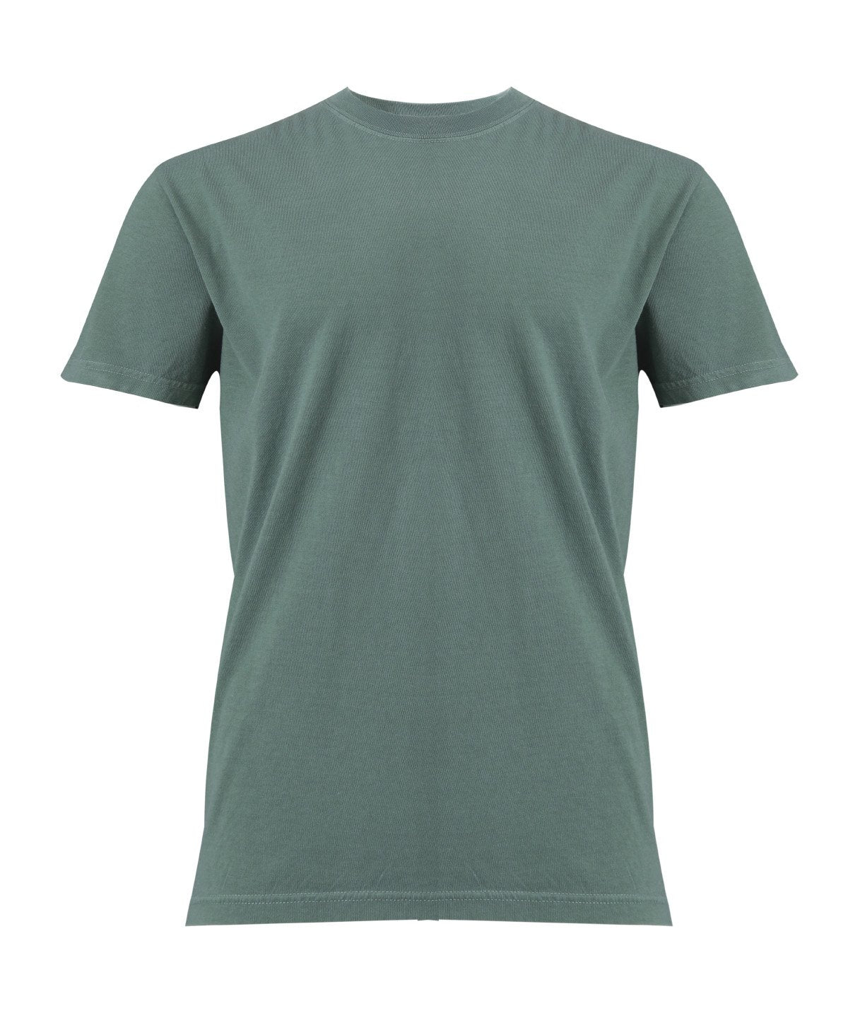 Comfort CO100 Heavyweight T-shirt Main Colour