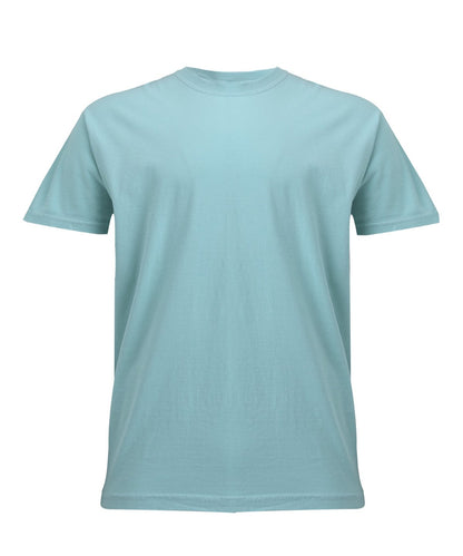 Comfort CO100 Heavyweight T-shirt Main Colour