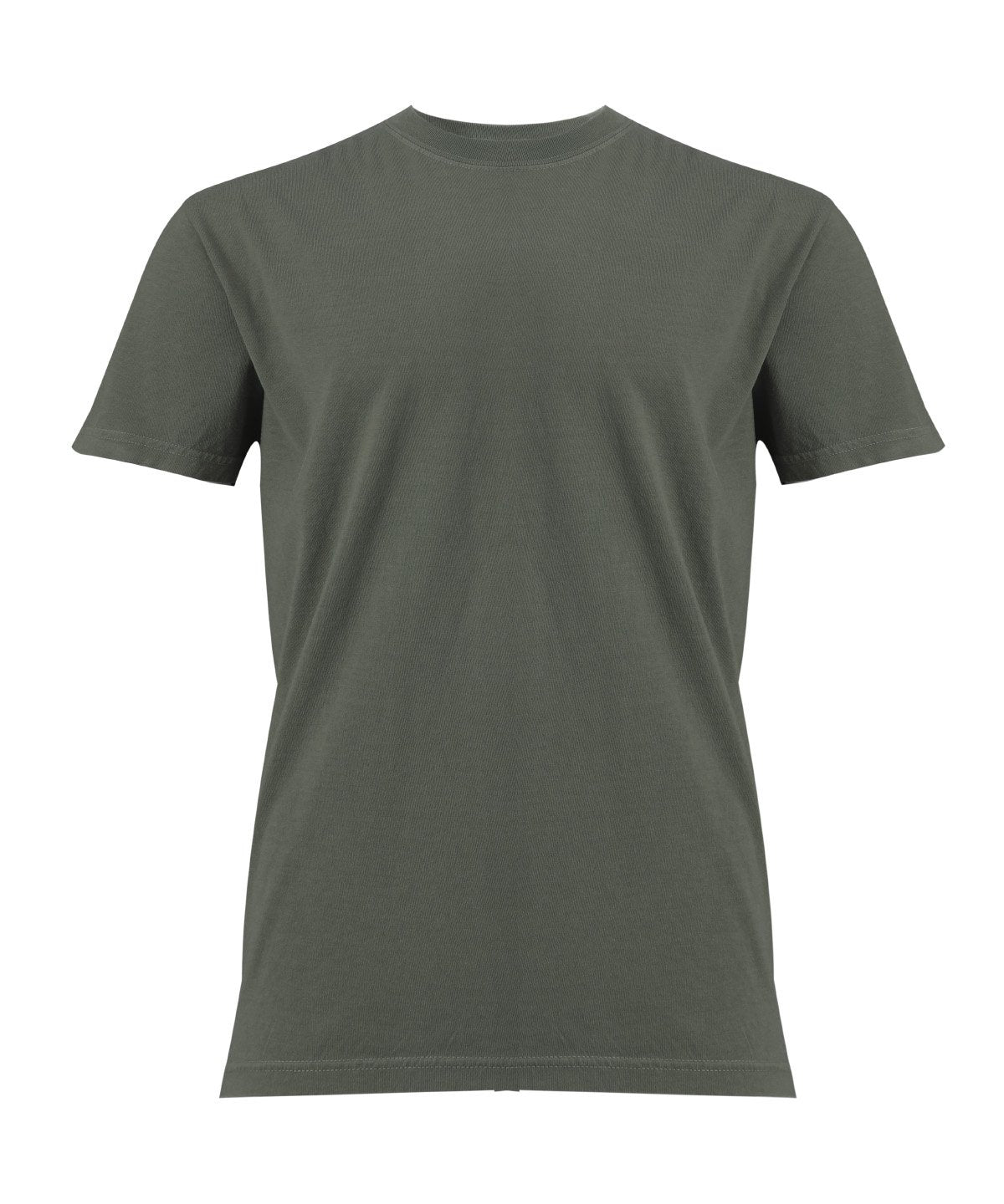 Comfort CO100 Heavyweight T-shirt Main Colour