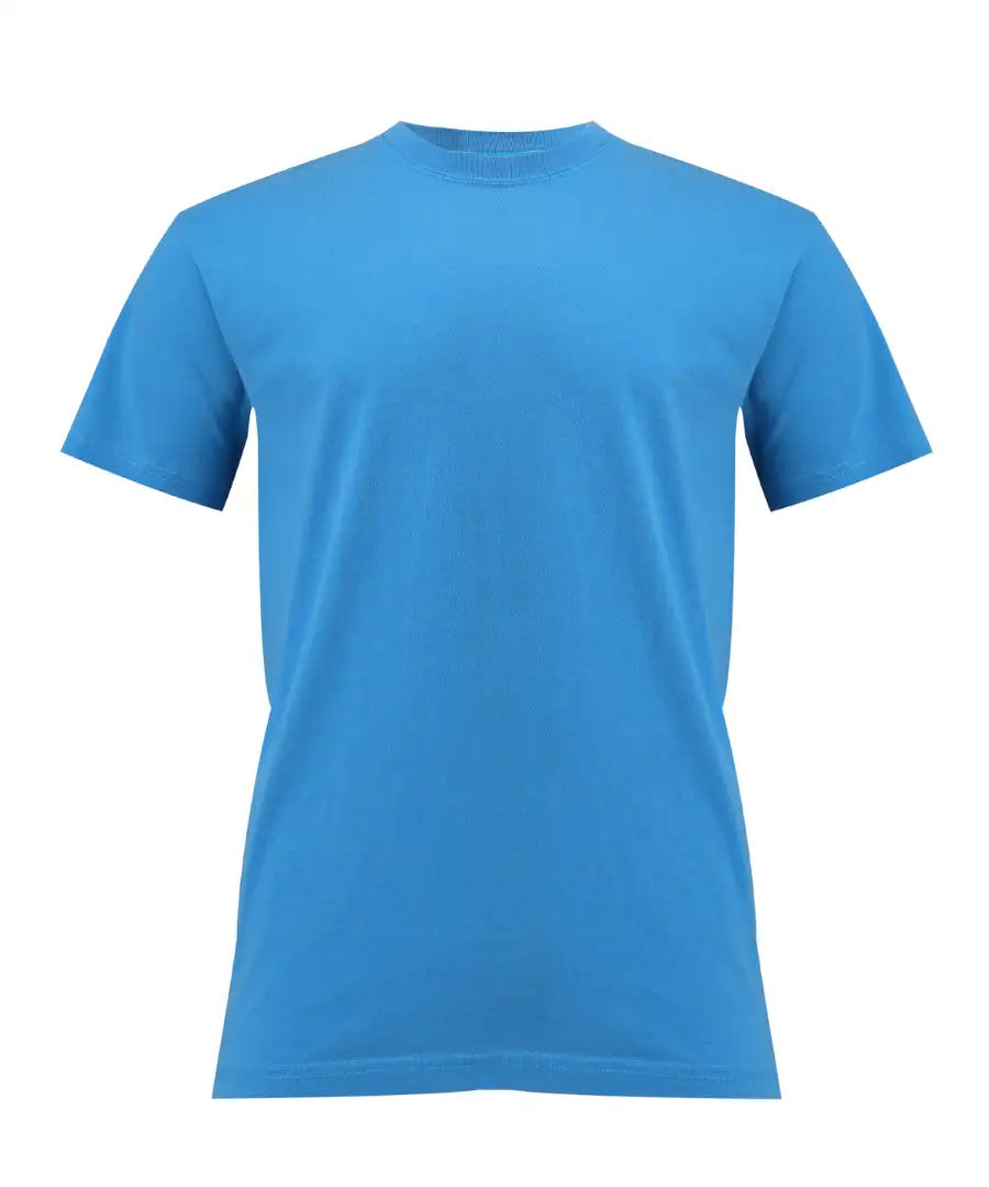 Comfort CO100 Heavyweight T-shirt Other Colour