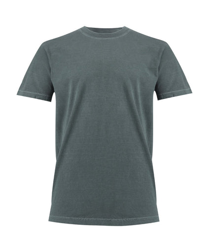 Comfort CO100 Heavyweight T-shirt Main Colour