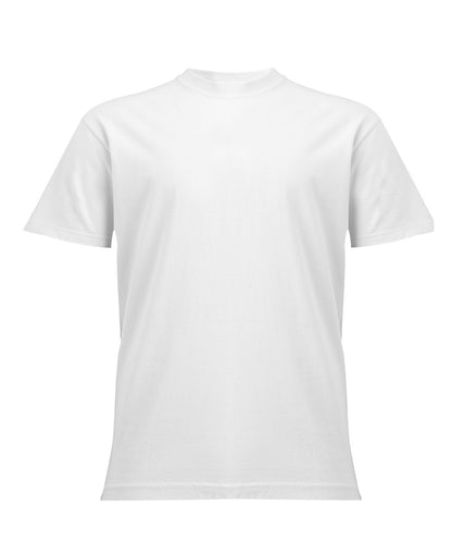 Comfort CO100 Heavyweight T-shirt Main Colour