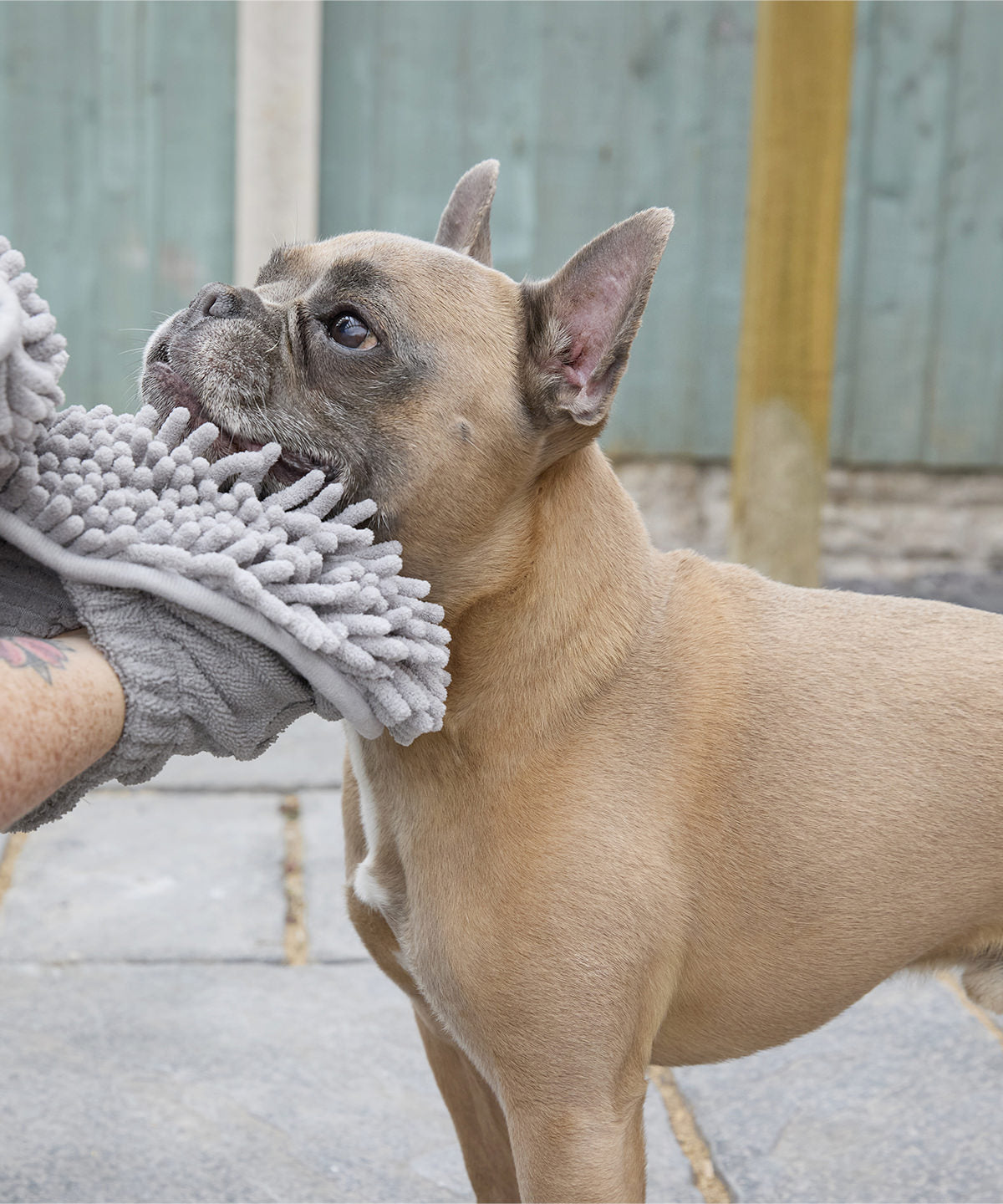 COOZO-Noodle pet towel