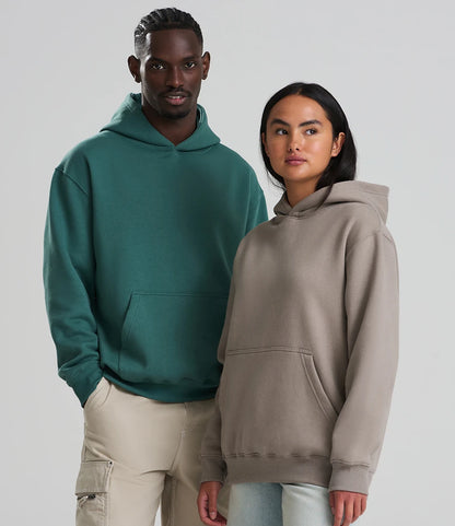 COOZO-AWDis Vision Heavyweight Hoodie