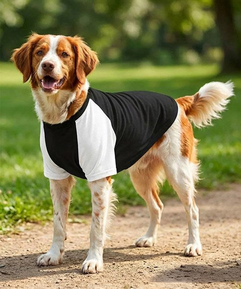 COOZO-Dog¡¯s raglan t-shirt