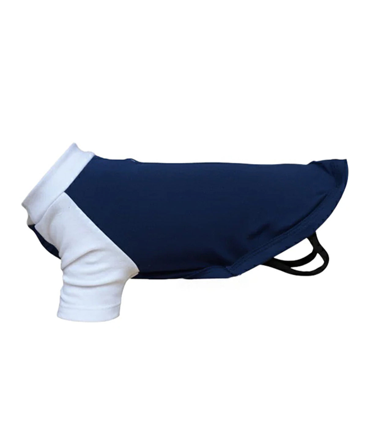 Portman & Pooch PP001 Dogs Raglan T-shirt