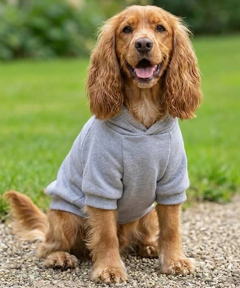 COOZO-Dog¡¯s hoodie