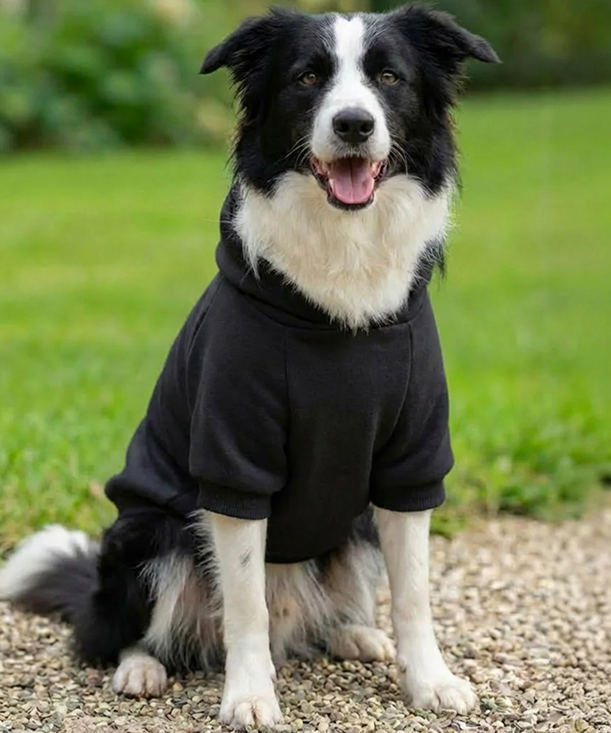 COOZO-Dog¡¯s hoodie