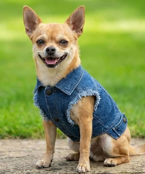 COOZO-Dog¡¯s denim jacket