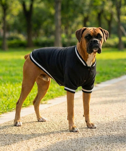 COOZO-Dog¡¯s varsity jacket