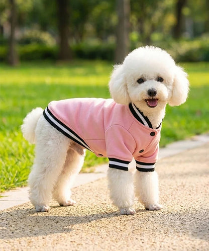 COOZO-Dog¡¯s varsity jacket
