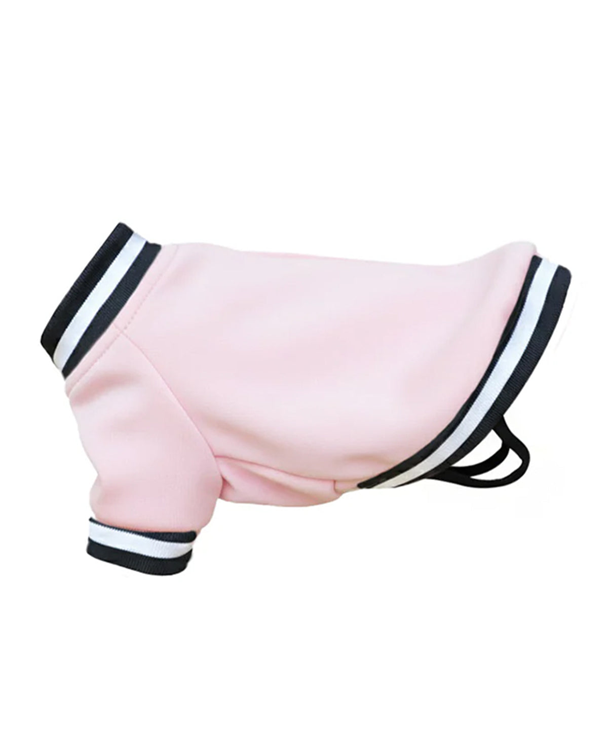 Portman & Pooch PP005 Dogs Varsity Jacket