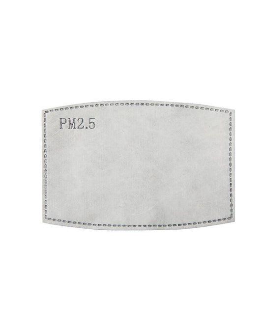 Premier PR797 Pm2.5 Activated Carbon Filter (Pack Of 10)