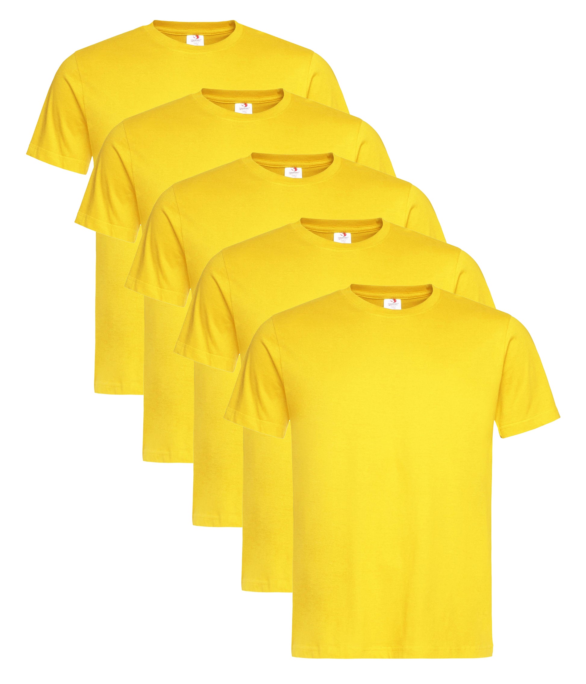 Stedman ST2000 Unisex Classic Regular Fit Crew Necked T-Shirt 155gsm 100% Cotton Mixed colors (pack of 5) - COOZO