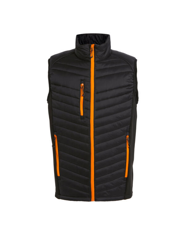 Regatta TRA894 Navigate Hybrid Bodywarmer Lightweight recycled warmloft fill - COOZO