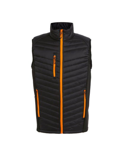 Regatta TRA894 Navigate Hybrid Bodywarmer Lightweight recycled warmloft fill - COOZO