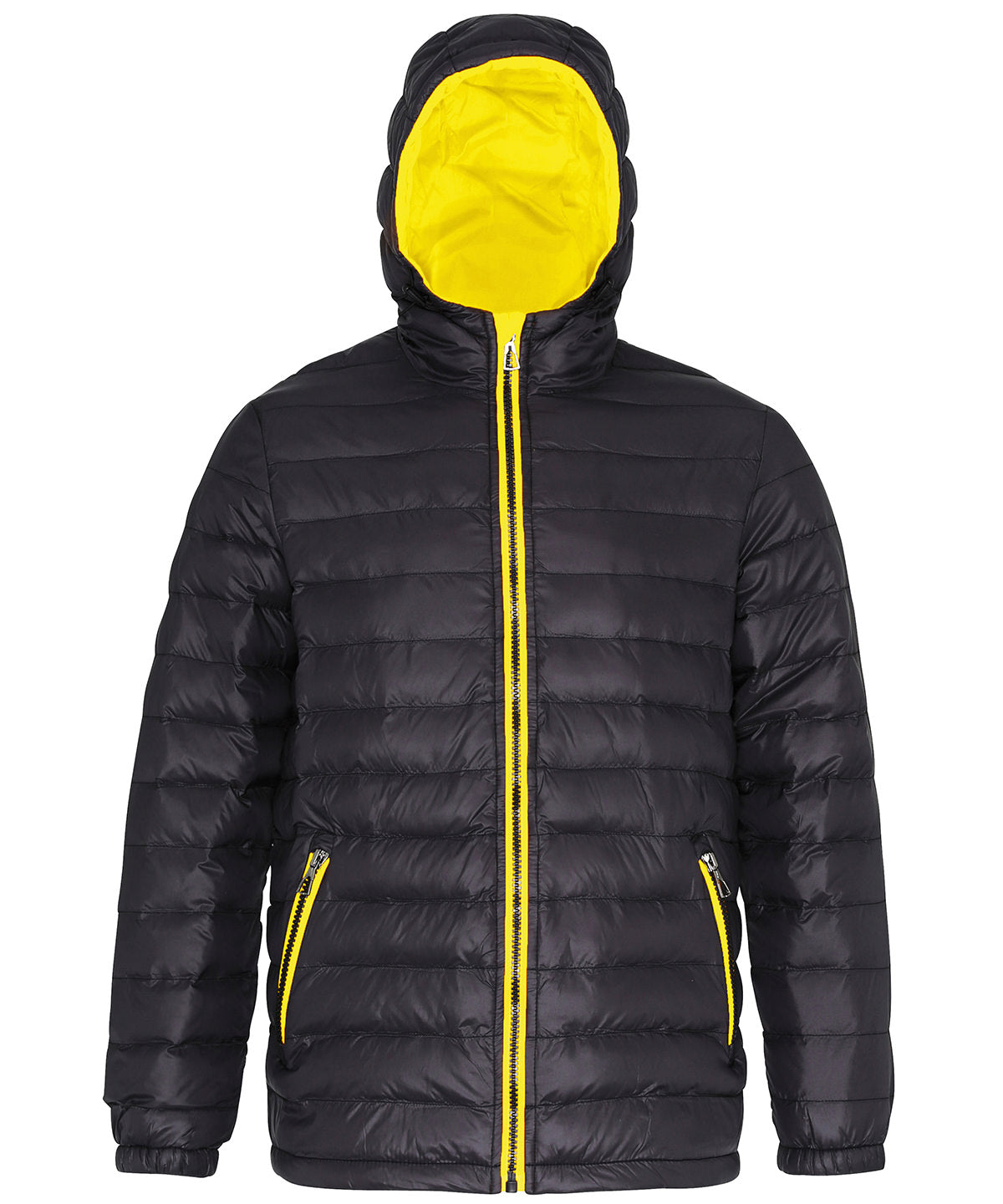2786 TS016 MENS PADDED JACKET - COOZO