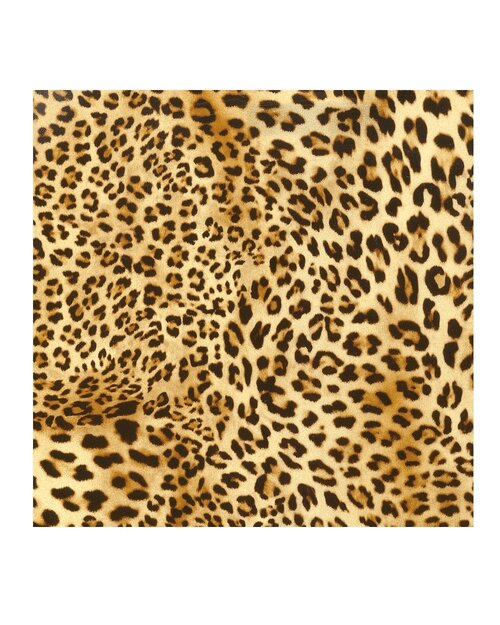 Xpres XP3048 WILD - COOZO
