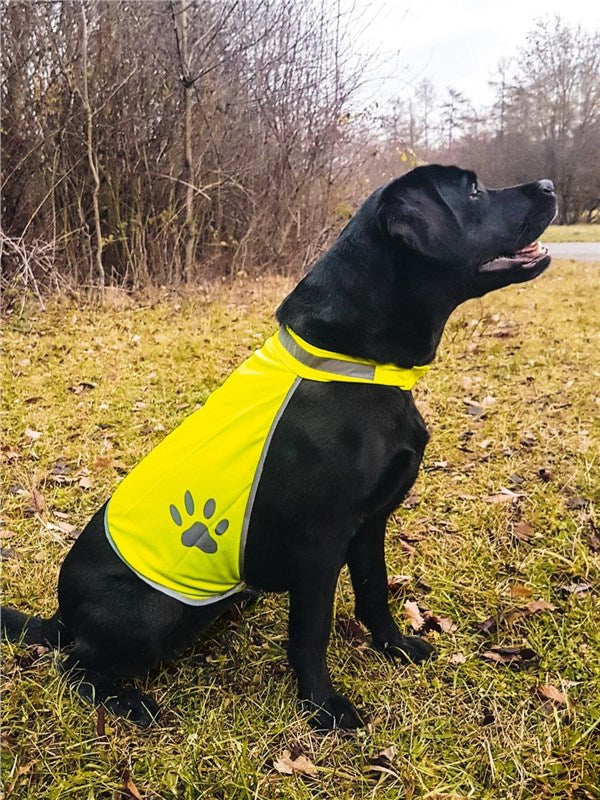 Korntex XTH High Visibility Dog Safety Vest
