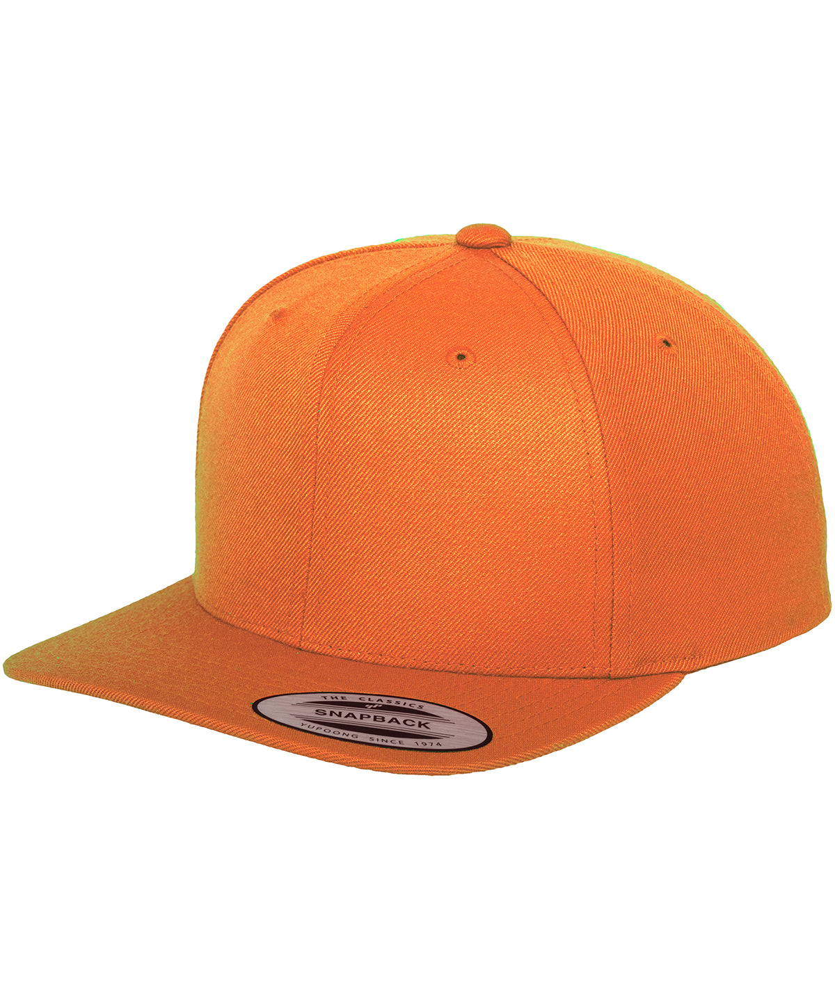 Flexfit The classic snapback/caps (6089M) - COOZO