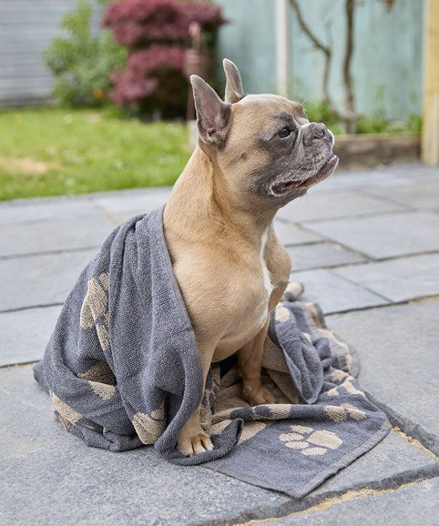 Home & Living HL235 Jumbo Terry Jacquard Dog Towel