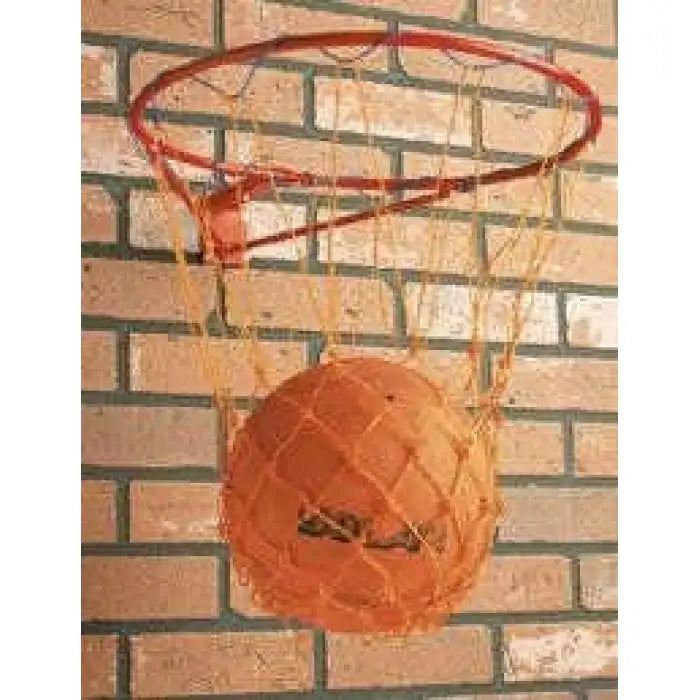 Carta Sport Netball Ring and Net Set (CSNBR) - COOZO