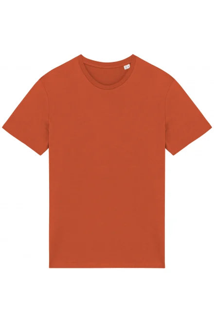 Native Spirit Unisex Heavyweight T-Shirt (NS305) Rich color - COOZO