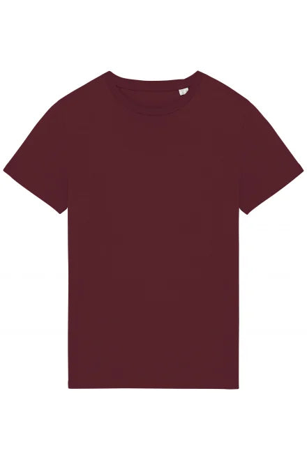 Native Spirit Unisex Heavyweight T-Shirt (NS305) Rich color - COOZO