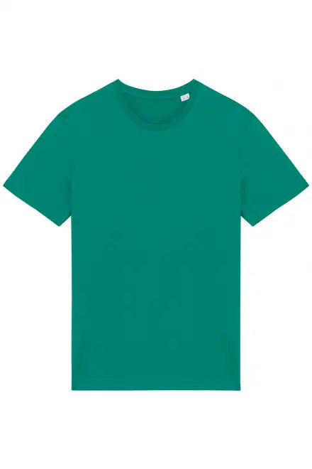 Native Spirit Unisex Heavyweight T-Shirt (NS305) Rich color - COOZO