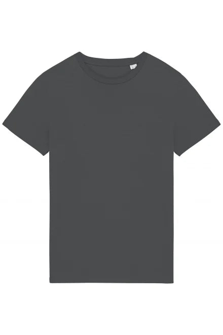 Native Spirit Unisex Heavyweight T-Shirt (NS305) Other color - COOZO